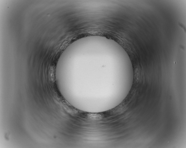 X0000102840234200808181032