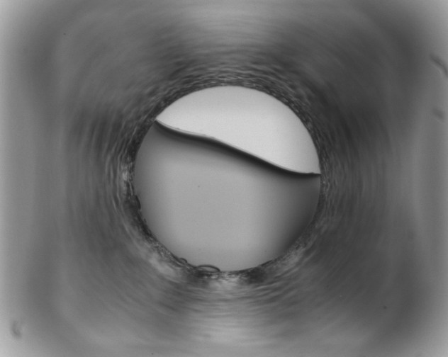 X0000102840235200808181032