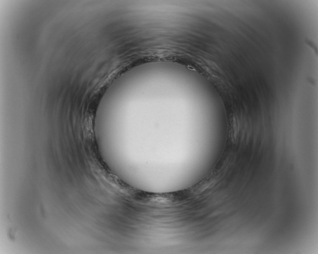 X0000102840236200808181032