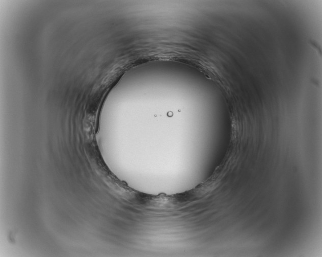 X0000102840237200808181032