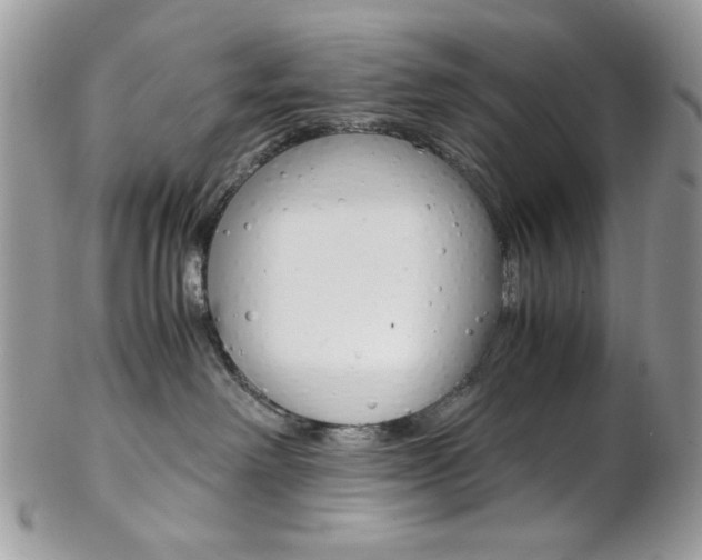 X0000102840238200808181032
