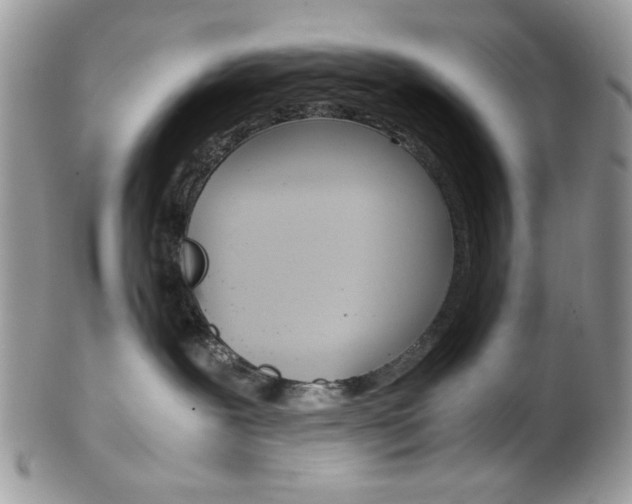 X0000102840239200808181032