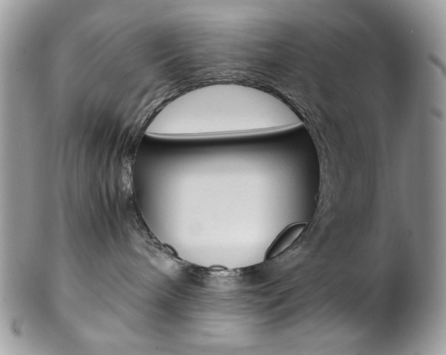 X0000102840240200808181032