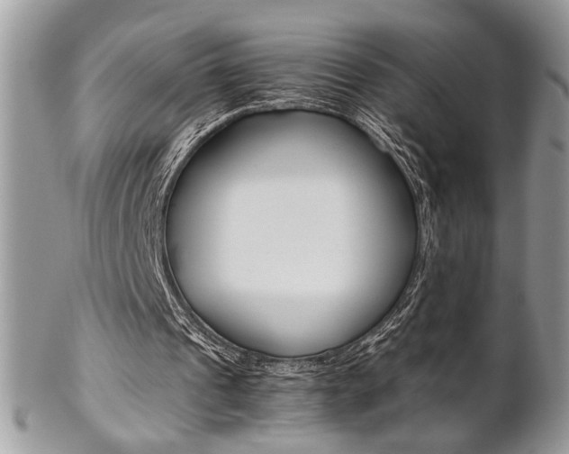 X0000102840241200808181031