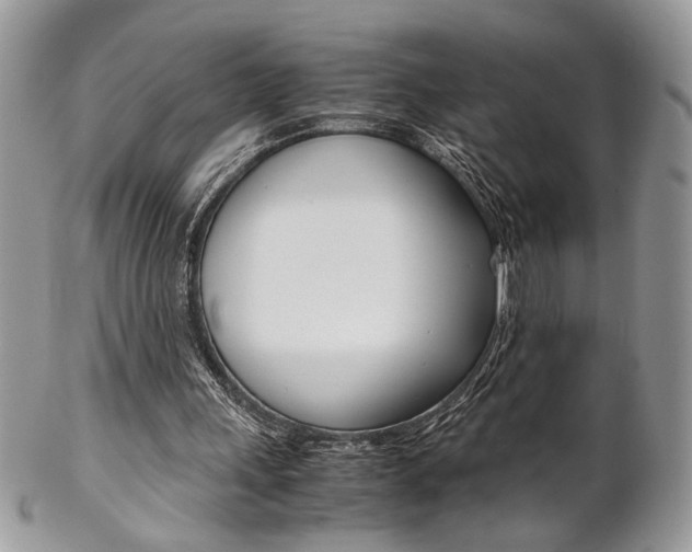 X0000102840243200808181031