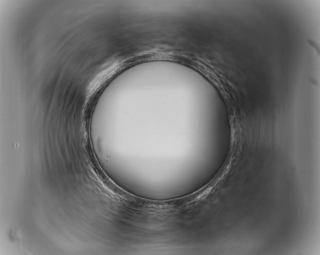 X0000102840245200808181031
