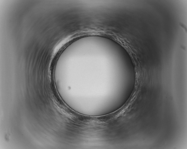 X0000102840246200808181031
