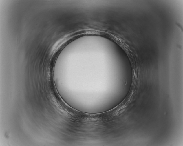 X0000102840247200808181031