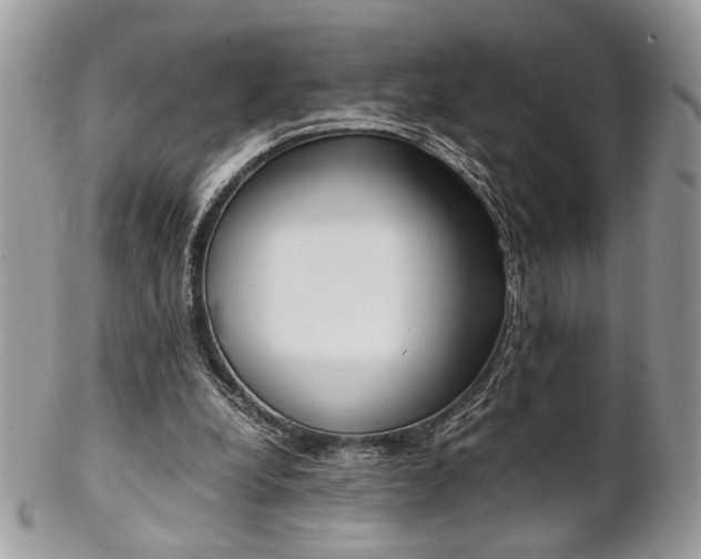 X0000102840248200808181031