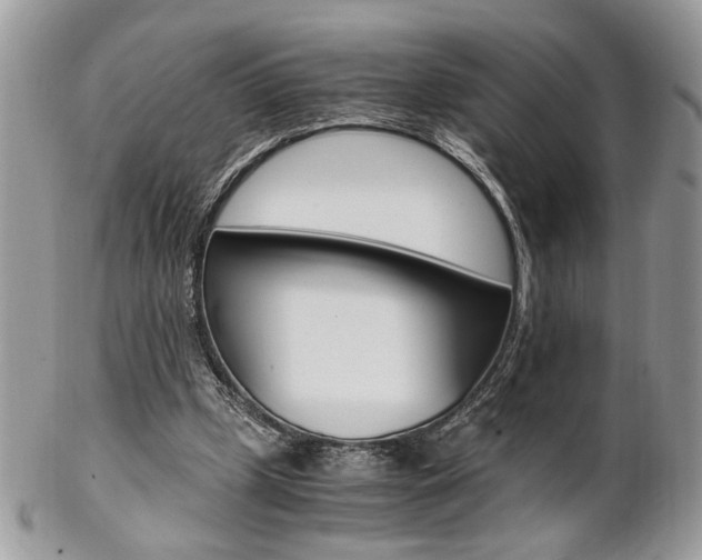 X0000102840249200808181031