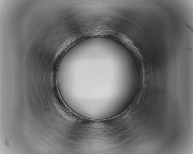 X0000102840250200808181031