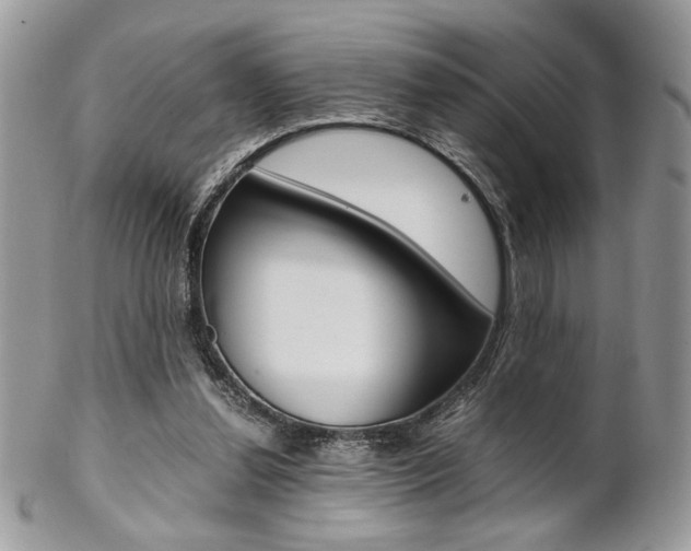 X0000102840252200808181031
