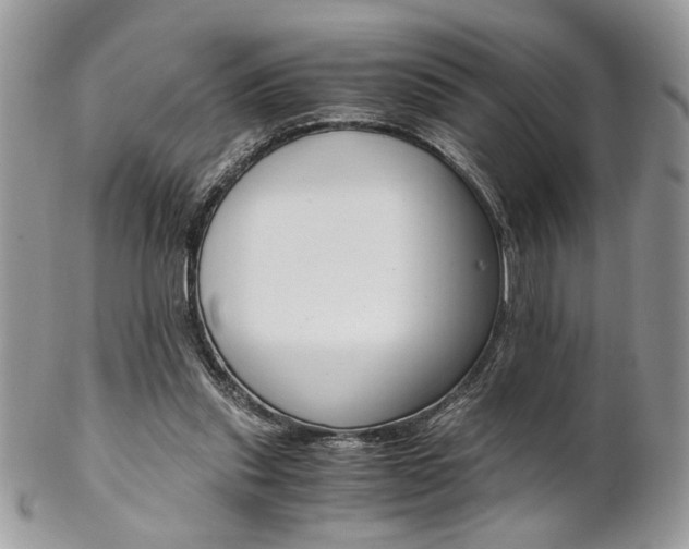 X0000102840253200808181031