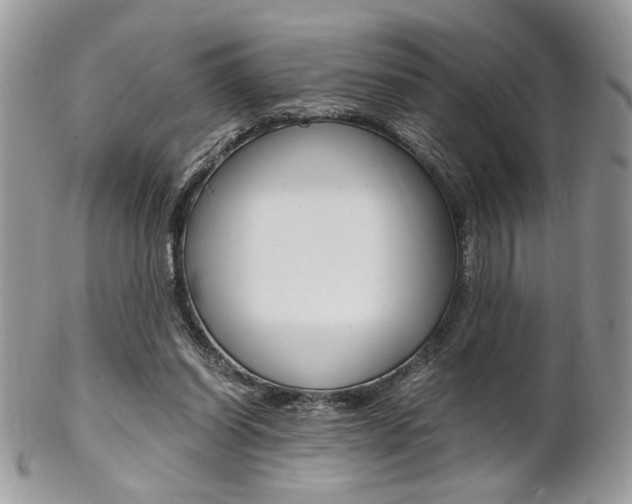 X0000102840254200808181031
