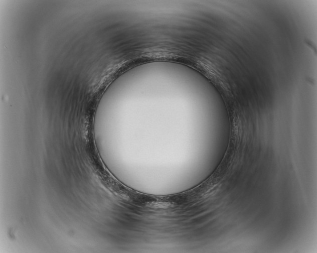 X0000102840255200808181031