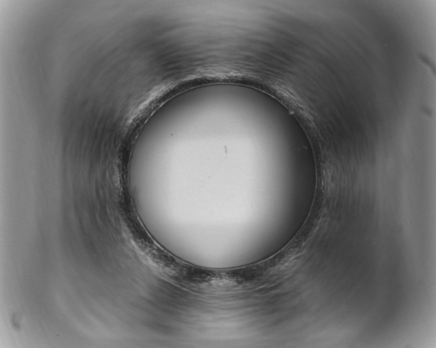 X0000102840256200808181031
