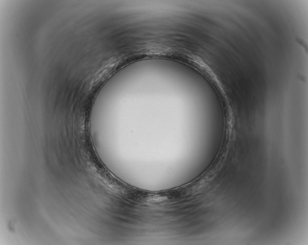 X0000102840257200808181031