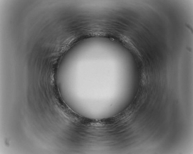 X0000102840259200808181031