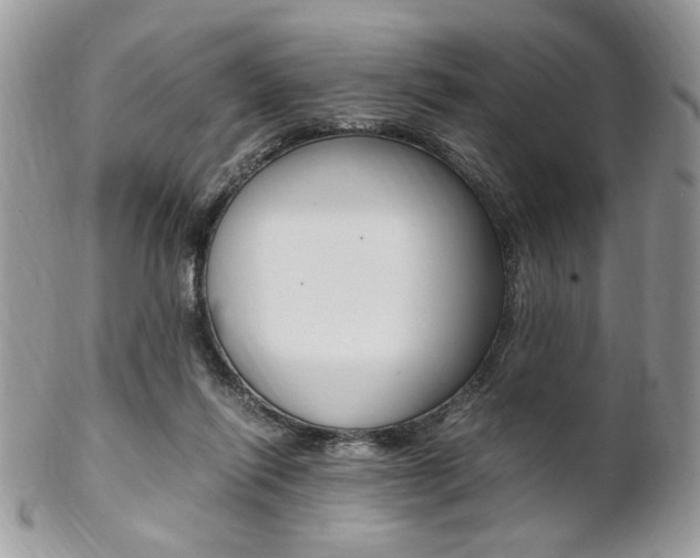 X0000102840262200808181031
