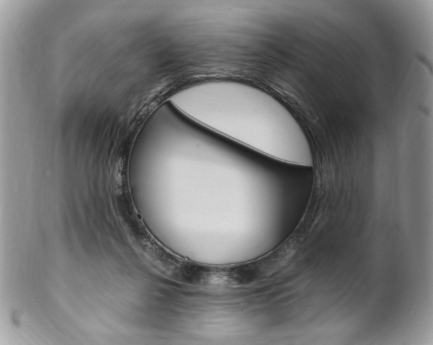 X0000102840264200808181031
