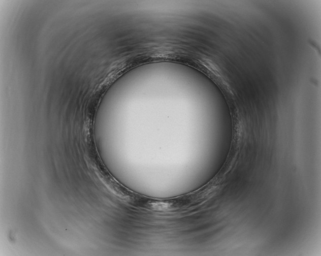 X0000102840265200808181031