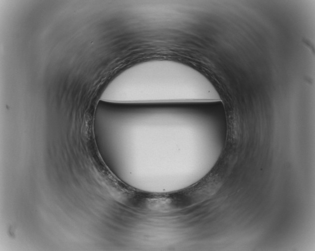 X0000102840266200808181031