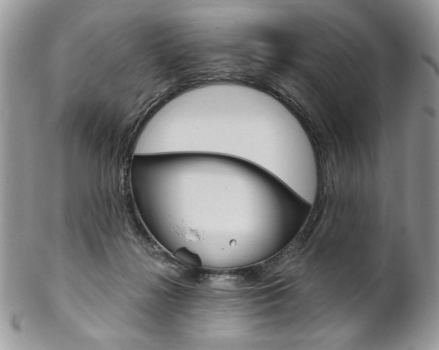 X0000102840268200808181032