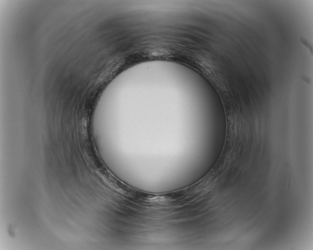 X0000102840269200808181032