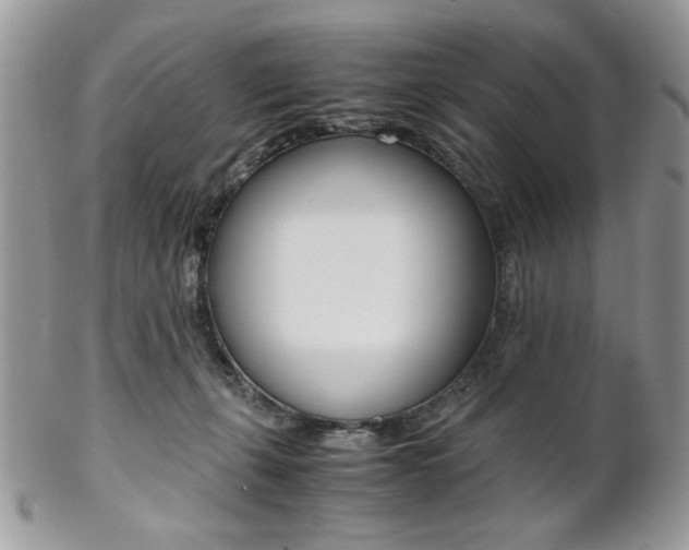 X0000102840271200808181032