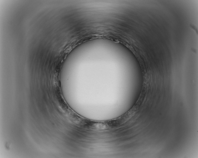 X0000102840272200808181032