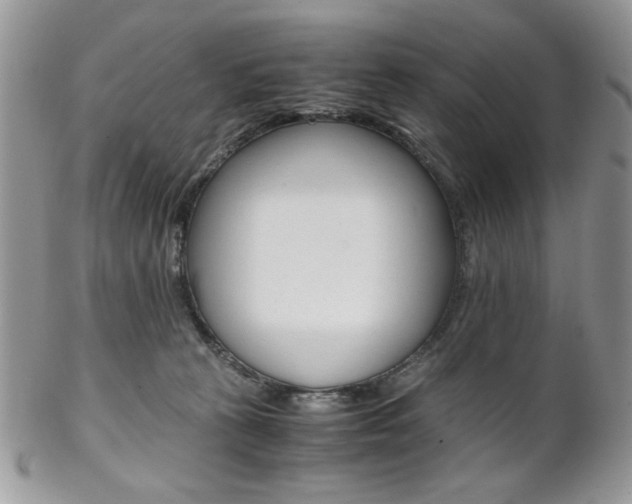 X0000102840273200808181032