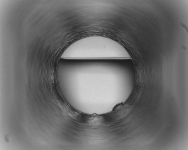 X0000102840274200808181032