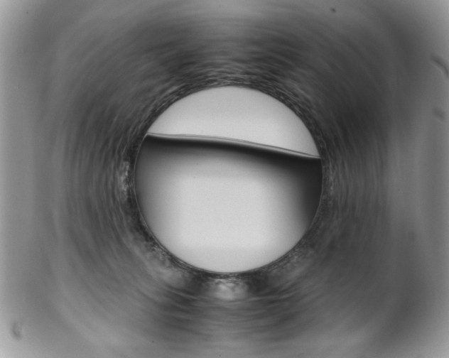 X0000102840275200808181032