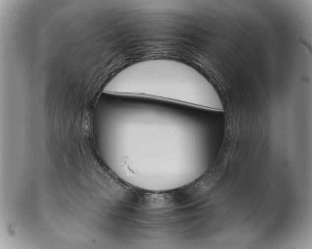 X0000102840277200808181032