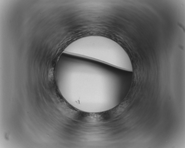 X0000102840278200808181032