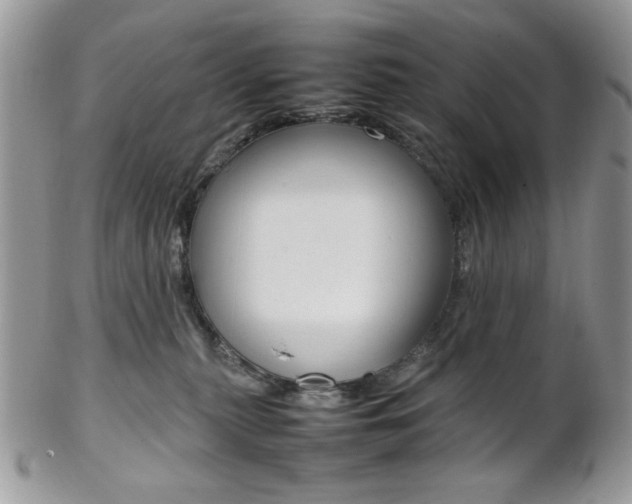 X0000102840279200808181032
