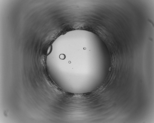 X0000102840280200808181032