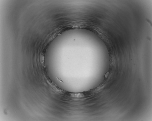 X0000102840281200808181032