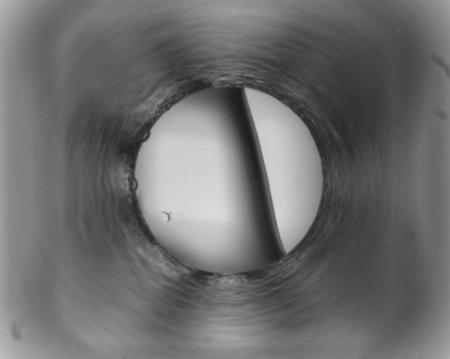X0000102840282200808181032