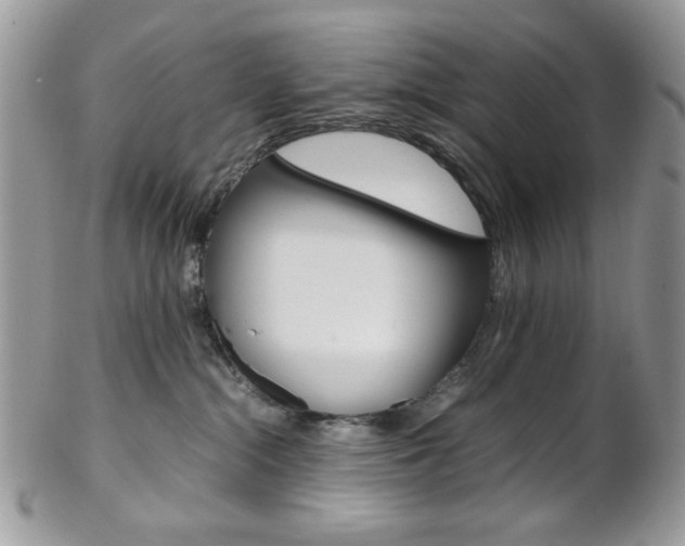 X0000102840284200808181032