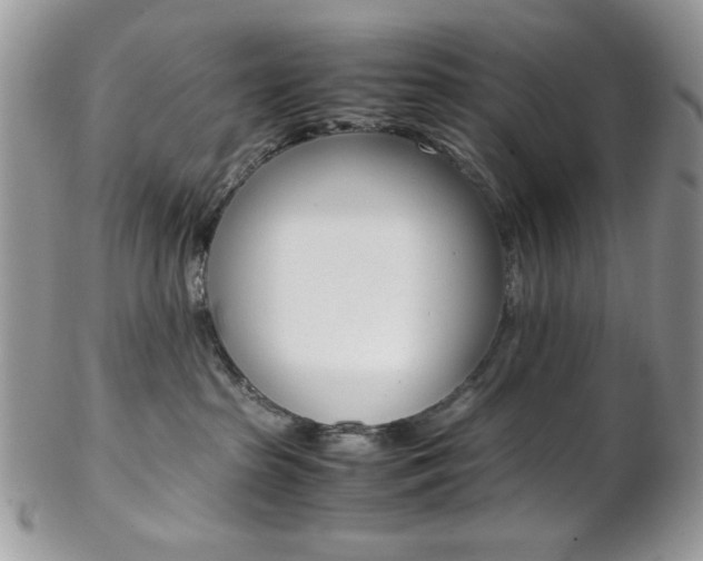 X0000102840285200808181032
