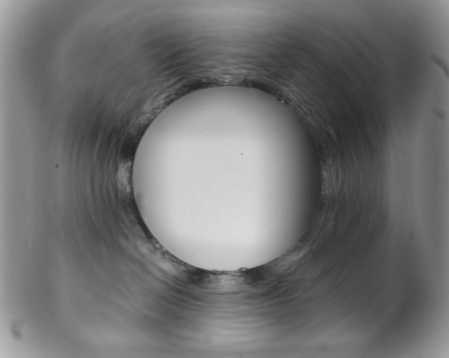 X0000102840286200808181032