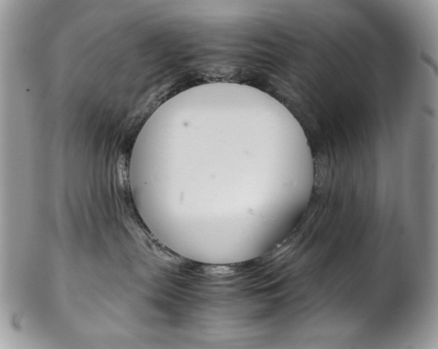 X0000102840287200808181032