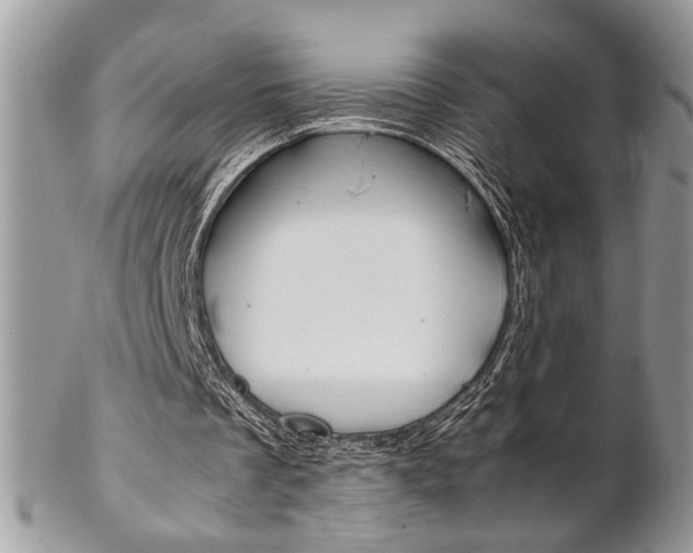 X0000102840289200808181031