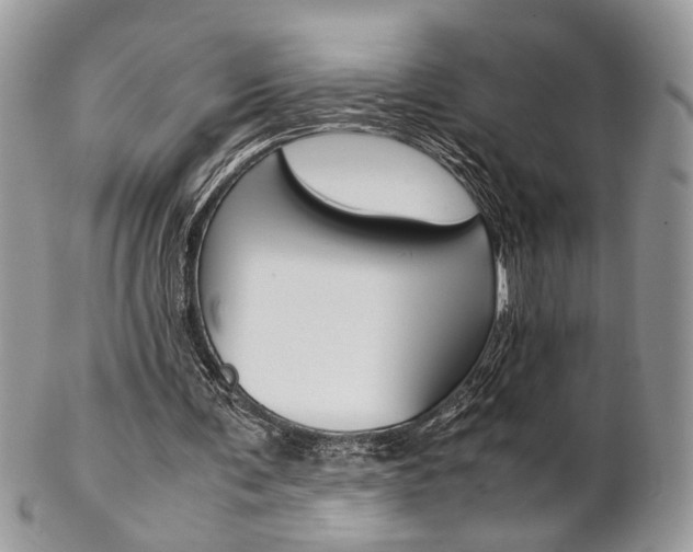 X0000102840291200808181031