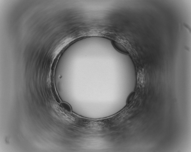 X0000102840292200808181031