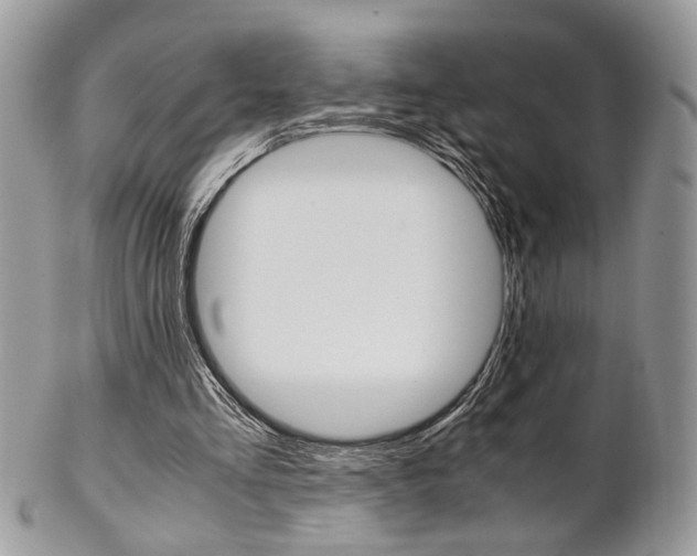 X0000102840293200808181031