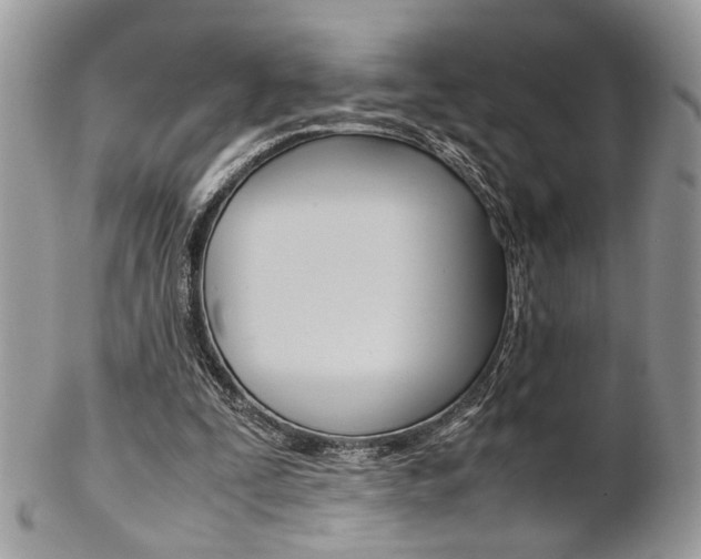 X0000102840295200808181031