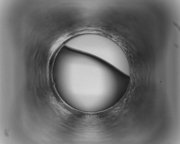 X0000102840296200808181031