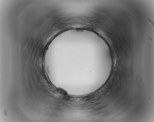 X0000102840297200808181031
